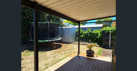 Light filled, triple fronted, family home in East Marden School Zone. - Photo 4