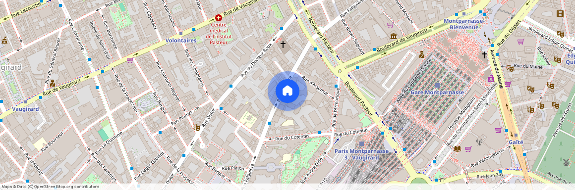 83 bis Rue Falguière, 75015, Paris