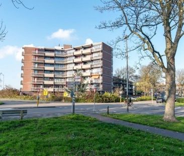 Apartment Haarlem - Victor van Vrieslandstraat - Photo 4