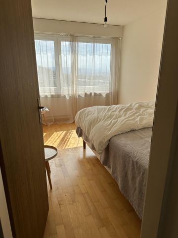 3.5 Zimmer, 87 m², 8. Stock - Photo 3