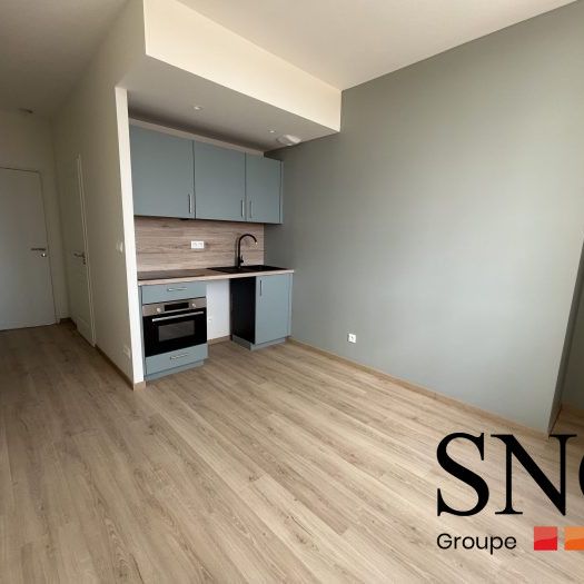 T1 RENOVE COMME NEUF HYPER CENTRE VILLE - Photo 1