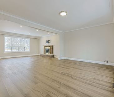 For Lease - 11369 Warden Avenue, Markham, Ontario - Photo 4