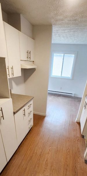 GRAND 4 1/2 | FLEURIMONT |5 ÉLECTROS - Photo 1