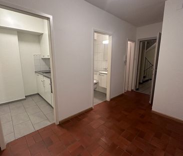 Small but mighty! - Photo 5