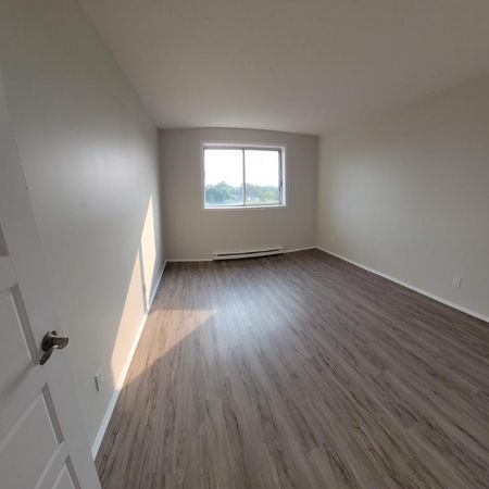 1 CH - 1 SDB - Gatineau - $1,595 /mo - Photo 4