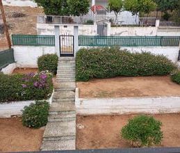 Μονοκατοικία για ενοικίαση - Σαλαμίνα, - Photo 3