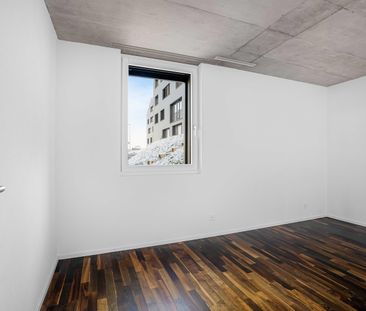 2.5 Zimmer, 54 m², EG - Foto 1