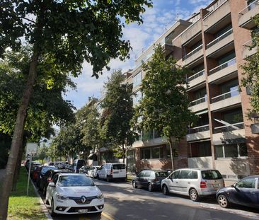 1 Zimmer, 30 m², 3. Stock - Foto 3