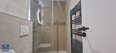 Location Appartement 1 pièce 20m² NICE 06000 - Photo 5