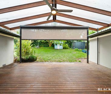 BEAUTIFULLY RENOVATED HOME WITHIN WALKING DISTANCE TO TCH - Photo 6