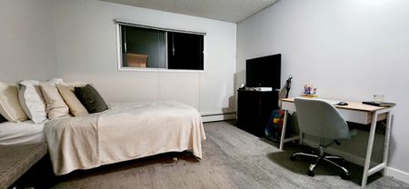 1 Bedroom Cat Friendly Suite in Clearview - Photo 3