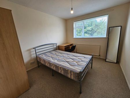 3 Bed Student Accommodation - Photo 5