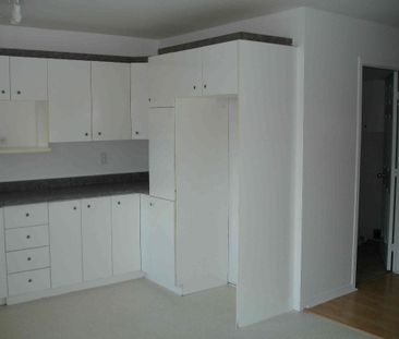 Très grand appartement, près des Promenades - Photo 4