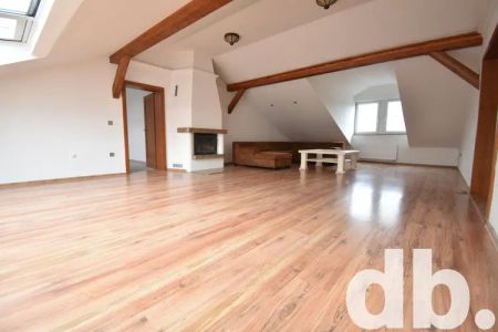 Pronájem byty 4+kk, 240 m - Fotografie 3