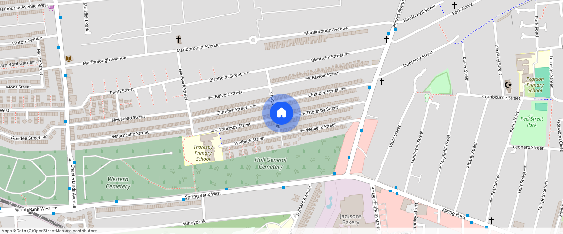 Thorseby Street, Hull, HU5