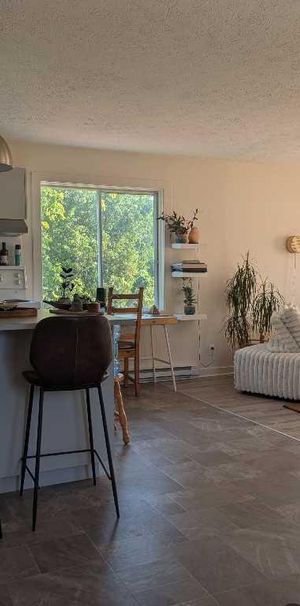 Colocation 🌞 Lumineuse et Joyeuse ! 5 1/2 Sutton - Photo 1