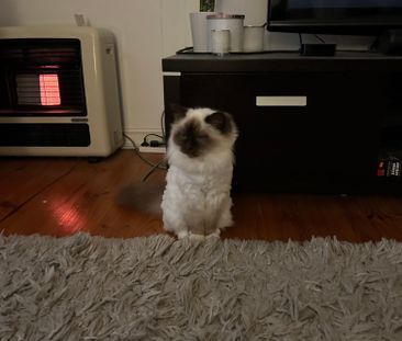 West Beach - Photo 1