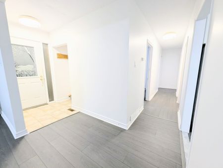 For Lease - 1254 Heron Road Unit# Main, Hunt Club - South Keys and Area, Ontario - Photo 5