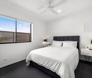 Your Dream Apartment! - Photo 2
