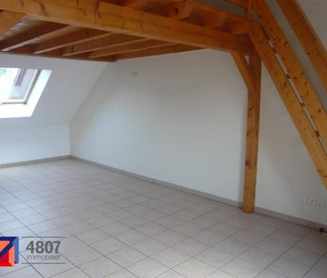 Location appartement rénové 1 pièce 38.66 m² à Thyez (74300) - Photo 5