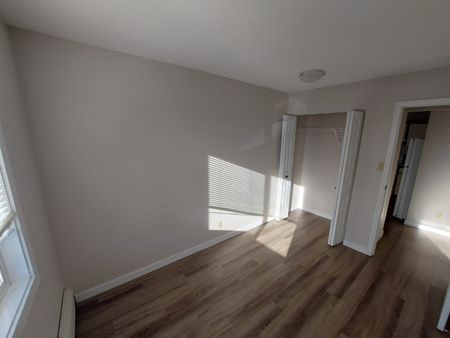 Pet Friendly 2 Bedroom, 1 Bathroom Apartment - Photo 4