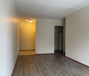 SPACIOUS 2 Bedroom APARTMENT!! GREAT LOCATION Downtown!!! - Photo 3