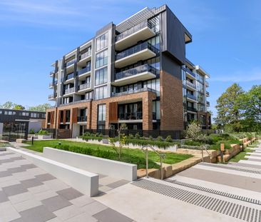 72/39 McIntyre Street, Narrabundah ACT 2604 - Apartment For Rent | ... - Photo 6