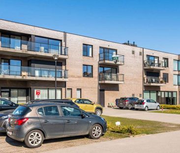 Serviceflat te huur in Rupelmonde voor € 1.170 met 1 slaapkamer - Foto 4