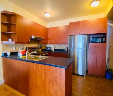 Appartement - 401-4490 Rue St-Urbain - Photo 6