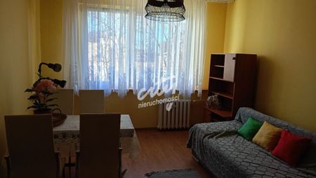 Mieszkanie | Wynajem - Photo 2