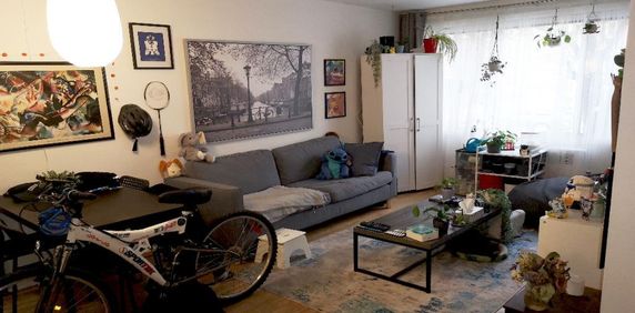 Superbe 4 1/2 Adjacent Outremont - près universités et REM - Photo 2