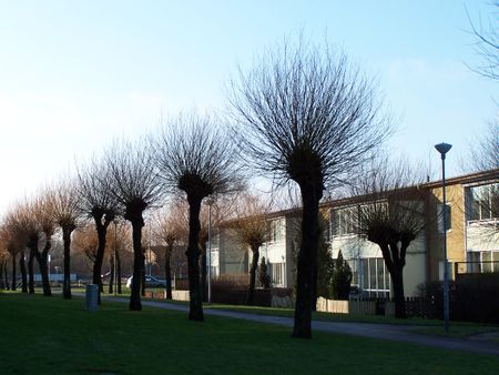 Nordanväg, Kävlinge - Foto 3