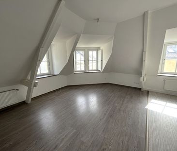 Location appartement 1 pièce, 17.00m², Château-Gontier - Photo 3