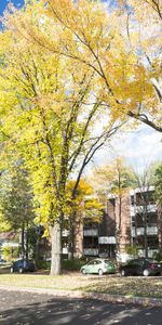 3 1/2 Ste-Foy - Tout inclus - près du cégep Garneau - décembre - Photo 3