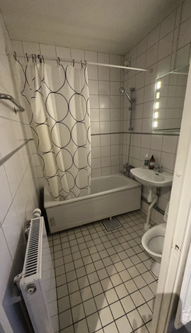 Lagmansgatan - Foto 4