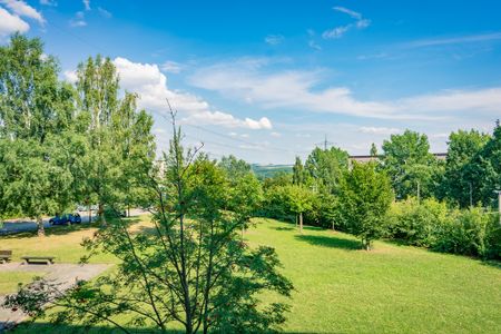 1-Raum-Wohnung mit Blick ins Grüne - Foto 2