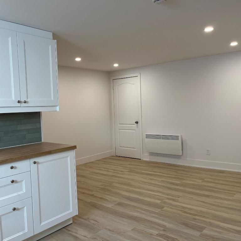 3 1/2 complètement neuf - Photo 1