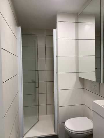 Prosper Poulletlaan 7 / 0205, 3000 Leuven - Foto 4