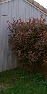 Location Maison 3 pièces 74m² VAYRES 33870 - Photo 4