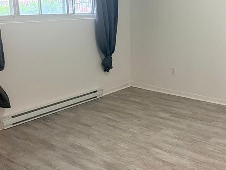 8880 Boul. Provencher - Photo 5