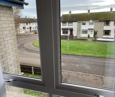 2c Bush Park, Antrim, BT41 1RZ - Photo 2