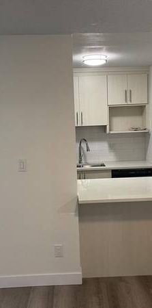 Newly Renovated, Open Concept 2 Bedroom Suite in Mount Pleasant - Photo 1