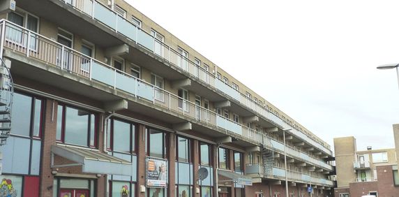 169, Herenhof, 2402 DK, Alphen Aan Den Rijn - Photo 2