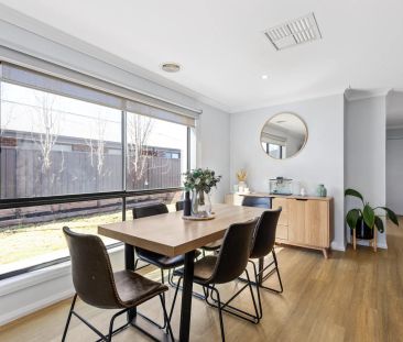 Perfect family home, with shedding - Photo 3