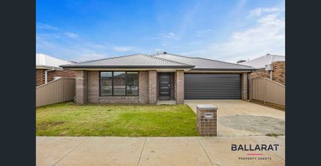 Large Family Home, Four Bedrooms, Two Bathrooms, Two Living, Double Garage - Photo 2