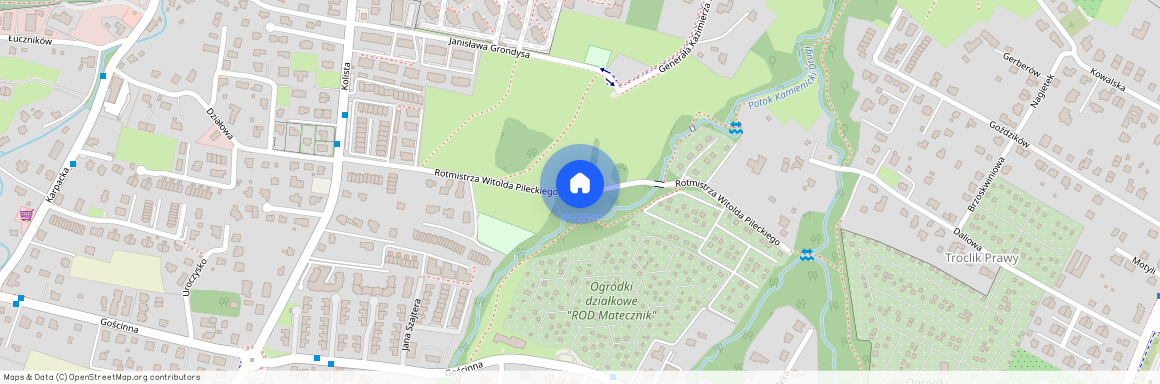 ul. Rotmistrza Witolda Pileckiego, Kamienica, Bielsko-Biała, śląskie