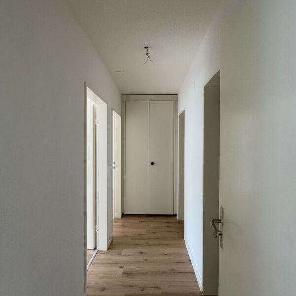 4.5 Zimmerwohnung für den 01.02.2026 in Orpund zu vermieten ! - Photo 1