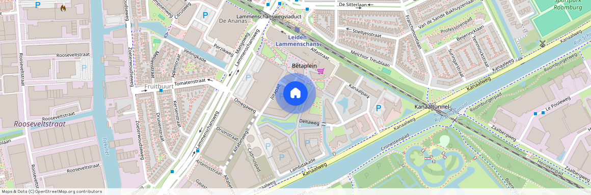 Omegaplantsoen 85, 2321 KT, Leiden