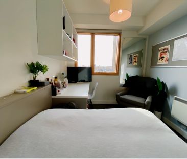 Luxury Studio - Photo 3