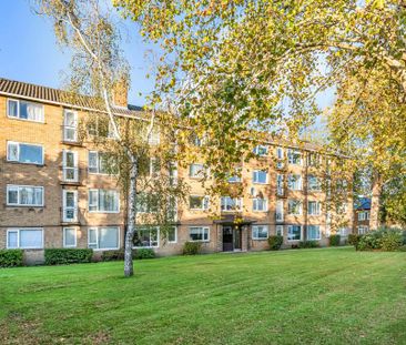 1 bedroom house to rent - Photo 5